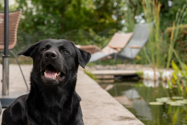 Ferienhaus TauberRefugium