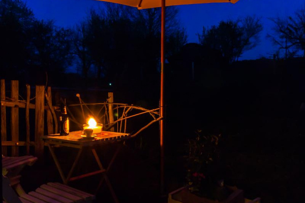 Abendstimmung im Garten