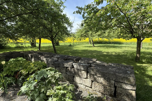 Hinter dem Haus beginnt die ungestörte Natur mit weitläufigen Wiesen und Feldern