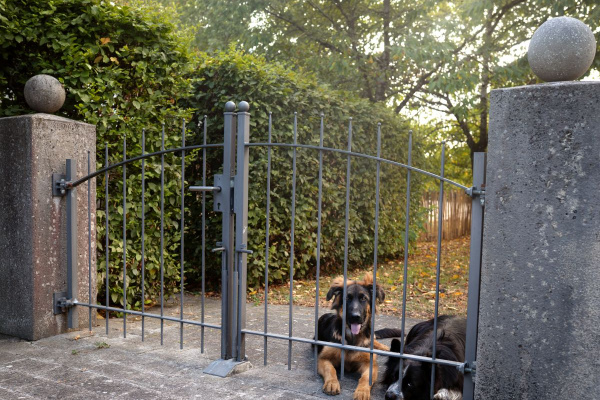Wir freuen uns auf bis zu 2 Hunde. Sie werden den umzäunten Garten lieben.