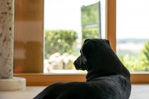 Ferienhaus TauberRefugium