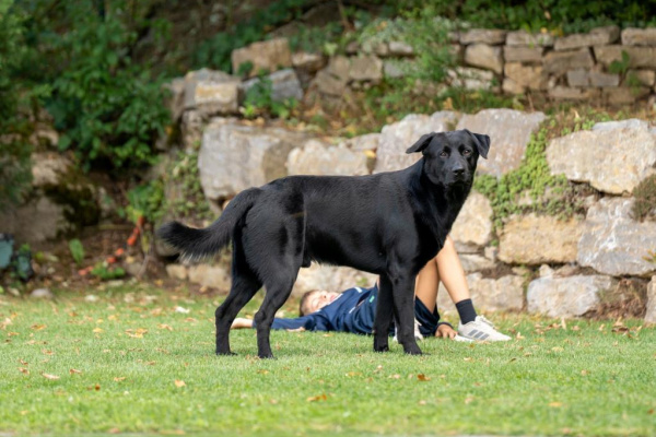 Ferienhaus TauberRefugium