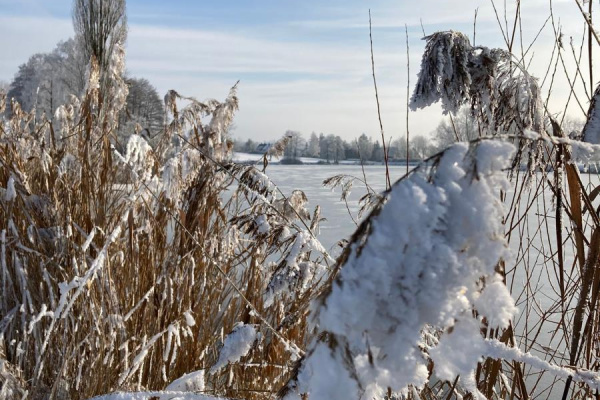 Ferienhaus Kubus am Schönweiher