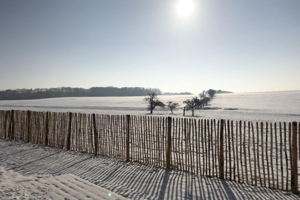 Blick ins winterliche Weiss!