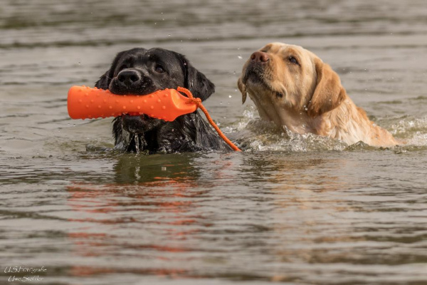 Hier kann auch Ihr Hund baden gehen. Bitte nehmen Sie Rücksicht auf Angler und andere Badegäste