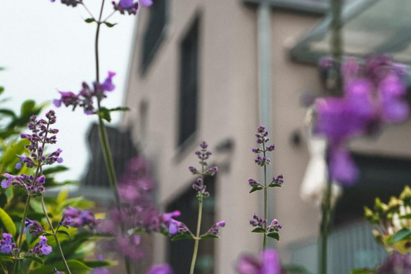 Ferienhaus Renkenmühle