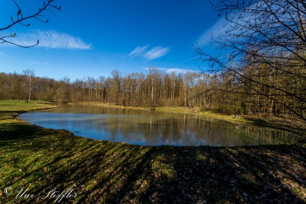 Dieser Waldsee ist fussläufig erreichbar.
