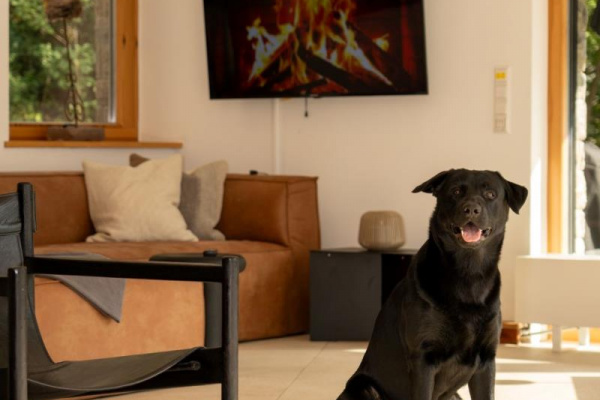 Ferienhaus TauberRefugium