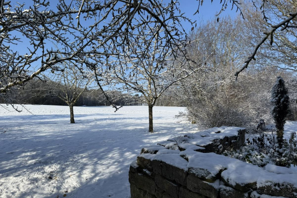 Der rund 600 m² große Garten mit unverbaubarem Blick auf Feld und Wald ist 1,20 m hoch umzäunt.