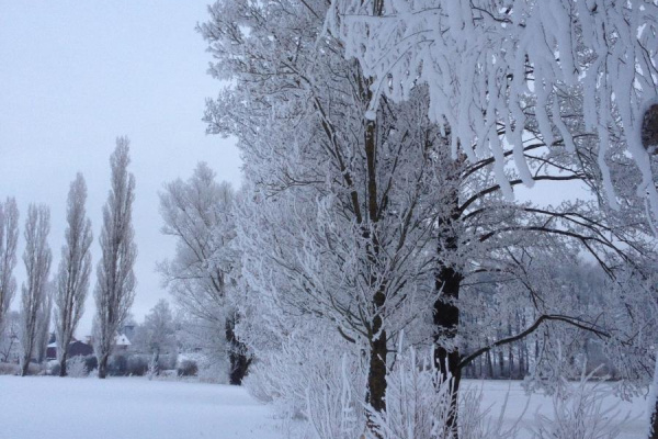 Ferienhaus Kubus am Schönweiher