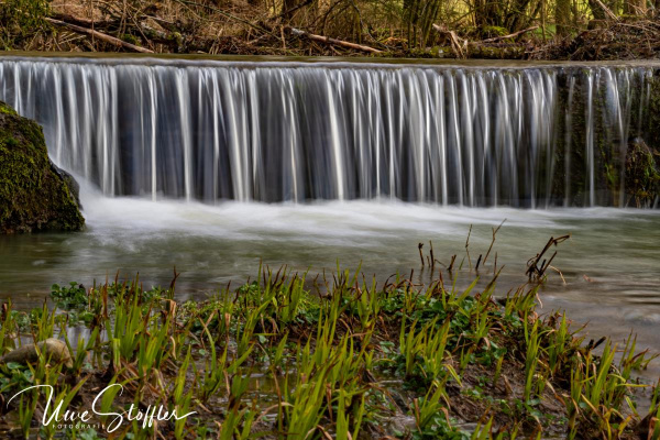 Die Tierbach