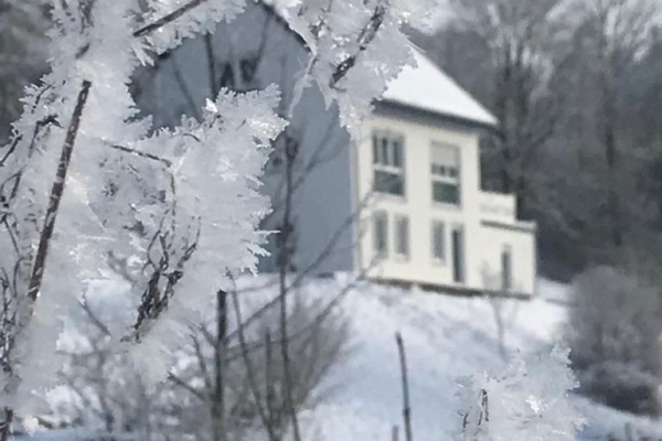 Winterimpressionen - Ferienhaus Naturton im Hintergrund