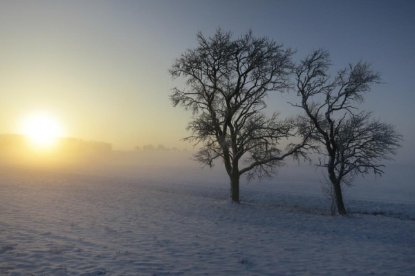 Winterlandschaft am Haus!