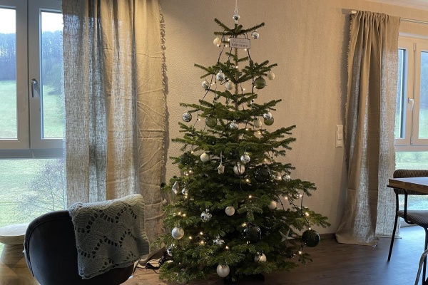 Der erste Weihnachtsbaum im Ferienhaus 
