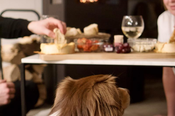 Ferienhaus Renkenmühle