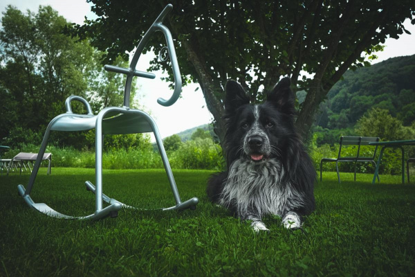 Ferienhaus Renkenmühle