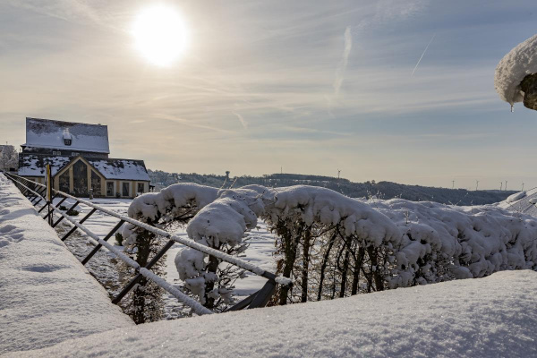 Genießen Sie wunderbare Wintertage am Schloss Langenburg